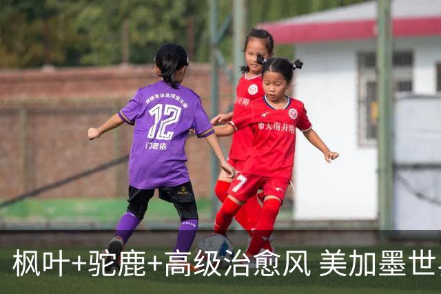 枫叶+驼鹿+高级治愈风 美加墨世界杯加拿大赛区开幕