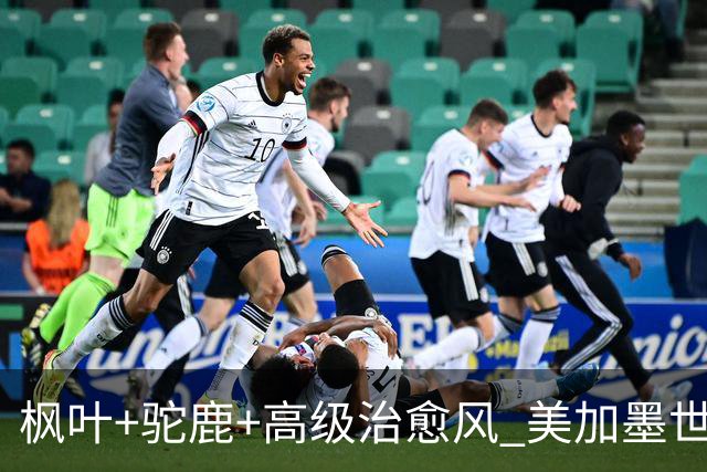 枫叶+驼鹿+高级治愈风 美加墨世界杯加拿大赛区开幕
